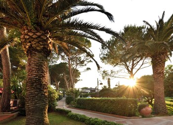 hotiday marina di bibbona