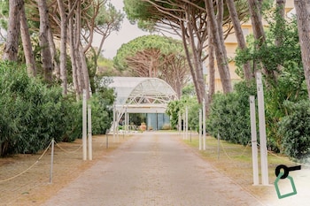 hotiday marina di bibbona