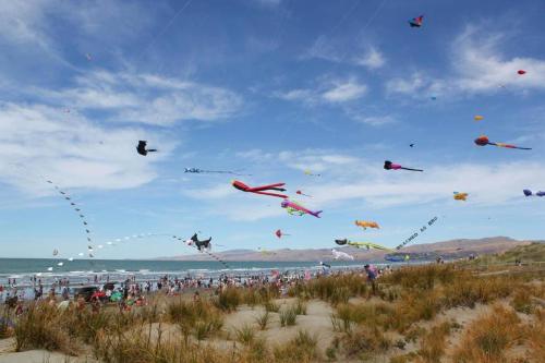 christchurch backpackers