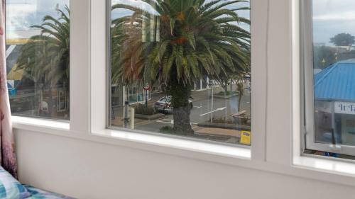 christchurch backpackers