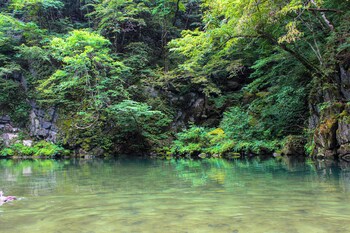 itsumu
