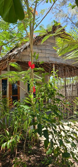 z village lodge