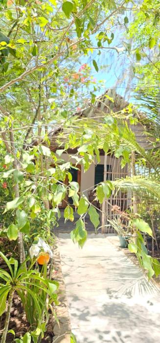 z village lodge