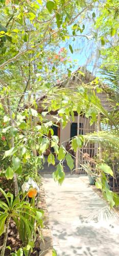 z village lodge