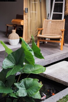 villa pacha seminyak