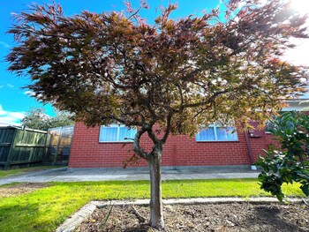rotorua central accommodation