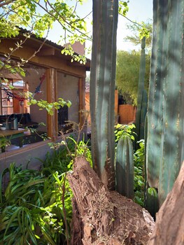 hostal qachisolcor