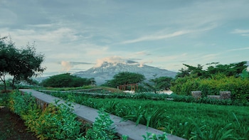 mateves boutique lodge