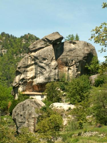 les callunes