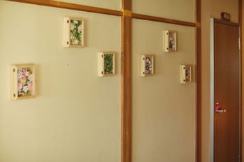 fujikawaguchiko