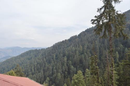 nature heaven homestay