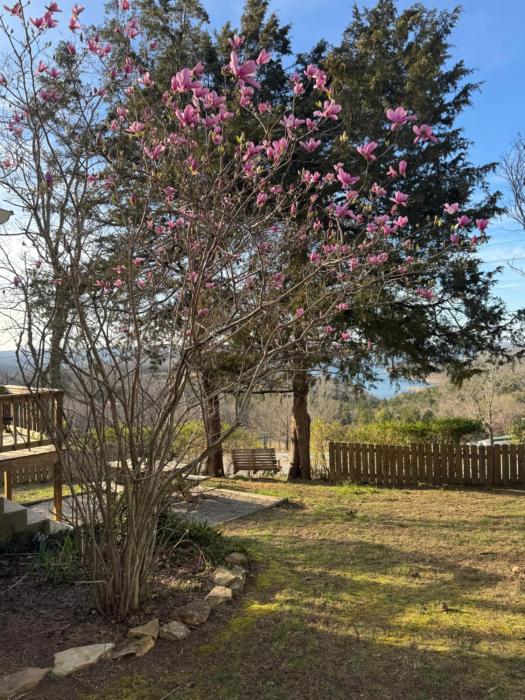 whispering woods cabins and grill