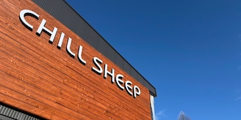 chillsheep