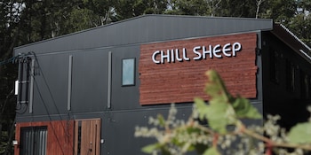 chillsheep