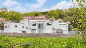 laetari pension gyeongju