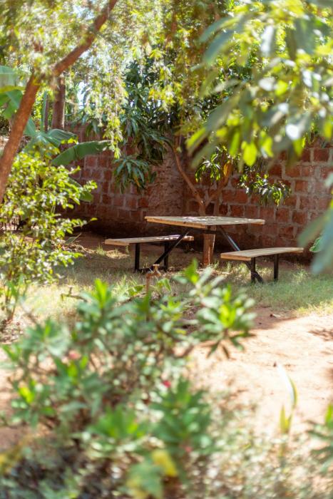kilimanjaro sons homestay