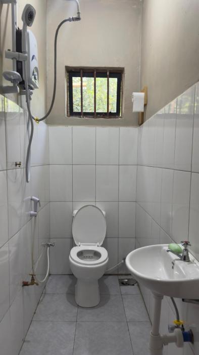 kilimanjaro sons homestay