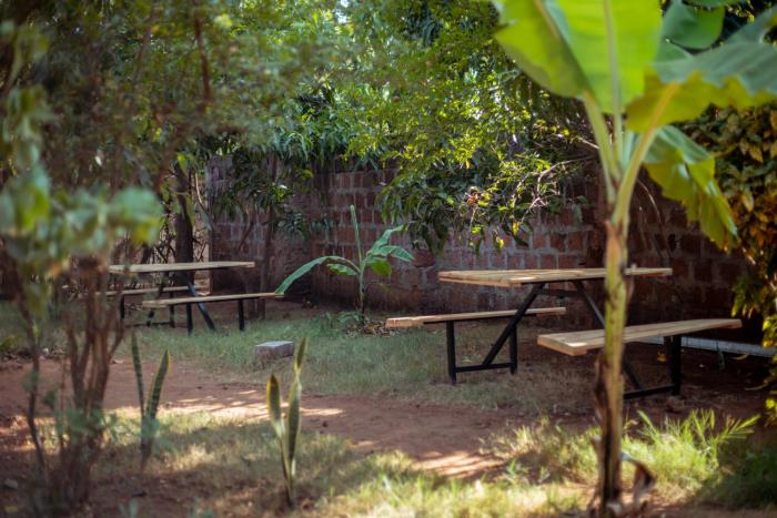 kilimanjaro sons homestay