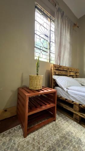 kilimanjaro sons homestay