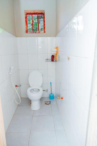 kilimanjaro sons homestay
