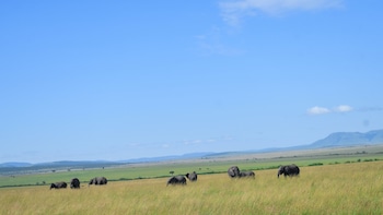 goshen mara