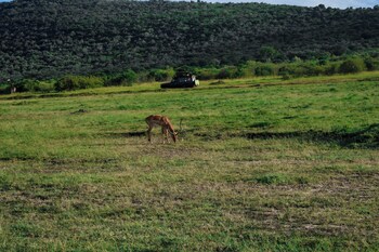 goshen mara