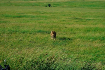 goshen mara