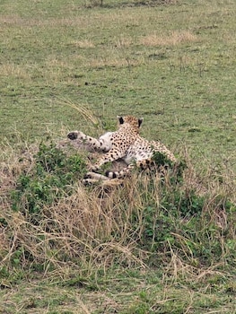 goshen mara