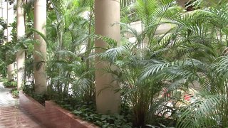 spring arona gran hotel and spa only adults