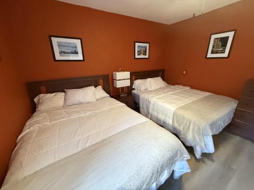 buffalo guesthouse