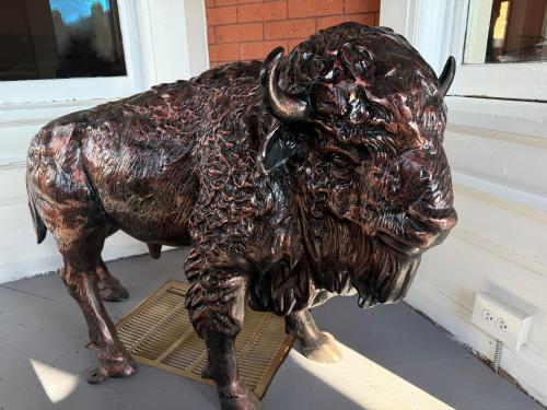 buffalo guesthouse