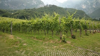 agriturismo margone