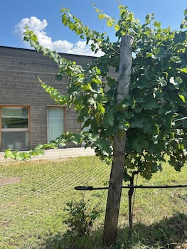 agriturismo margone