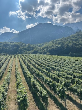 agriturismo margone