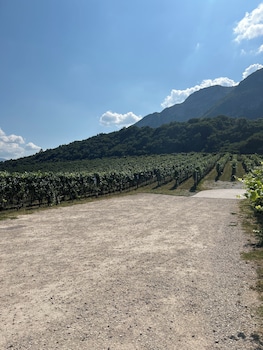 trento