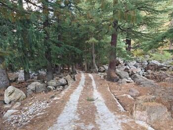 Shepherd's Lore Camps & Resort,,5 star