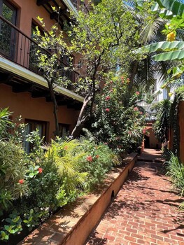 paseo colonial leos favorite