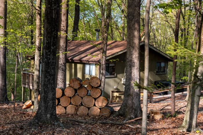2 bedroom cabin hot tub fireplace ps5