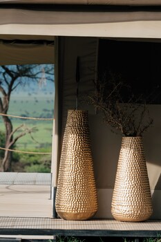 awali serengeti camp