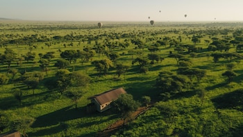 awali serengeti camp