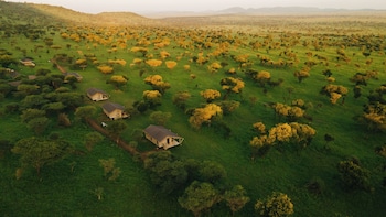 awali serengeti camp