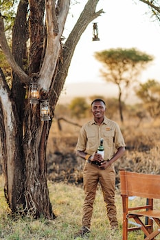 awali serengeti camp