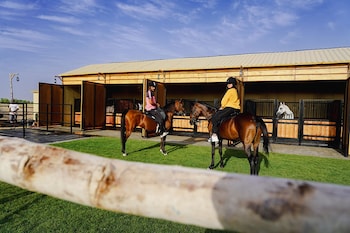 Al Marmoom Oasis Bedouin Tent Experience,,0 star