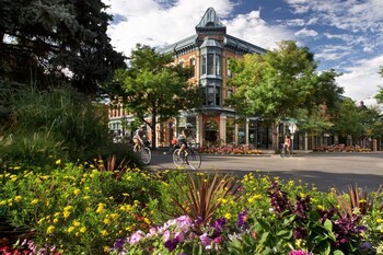 fort collins