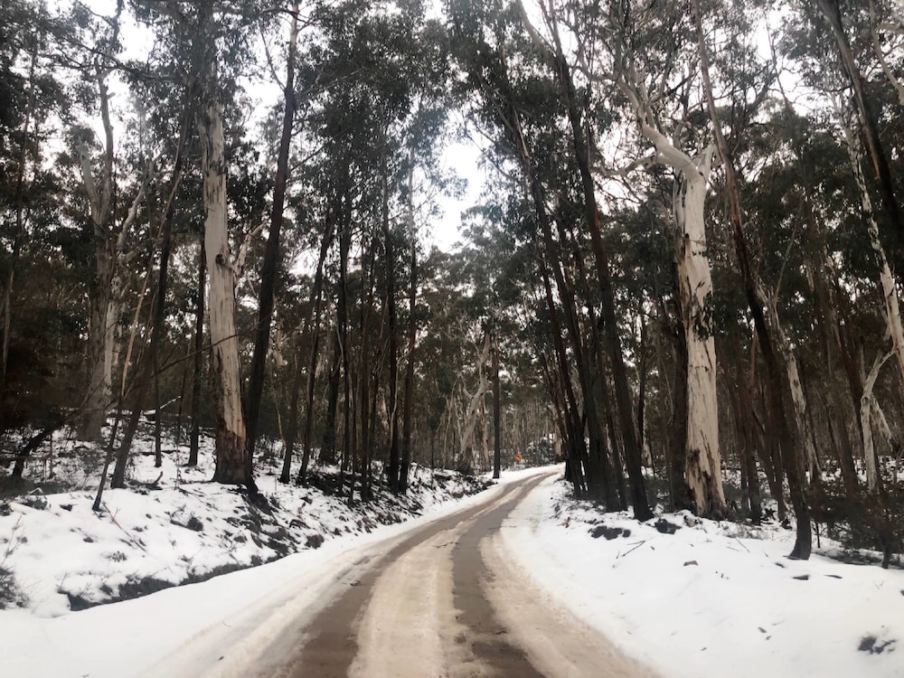 adaminaby