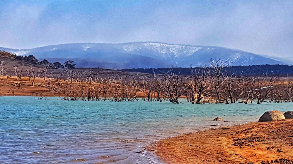adaminaby
