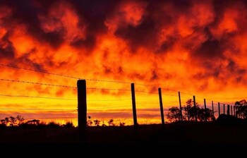 adaminaby