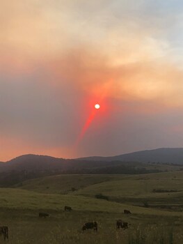 adaminaby