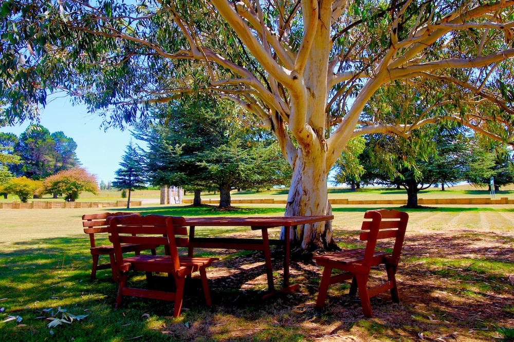 adaminaby