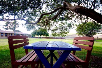 adaminaby